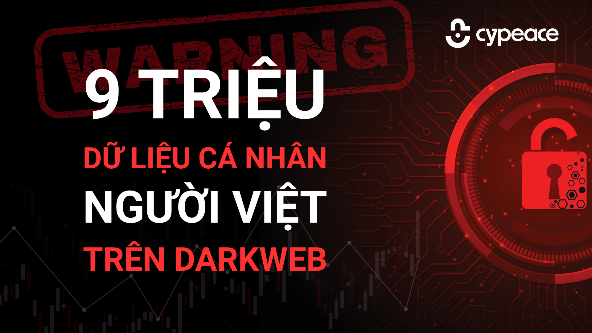 9 triệu dữ liệu cá nhân người Việt bị rao bán trên Dark Web
