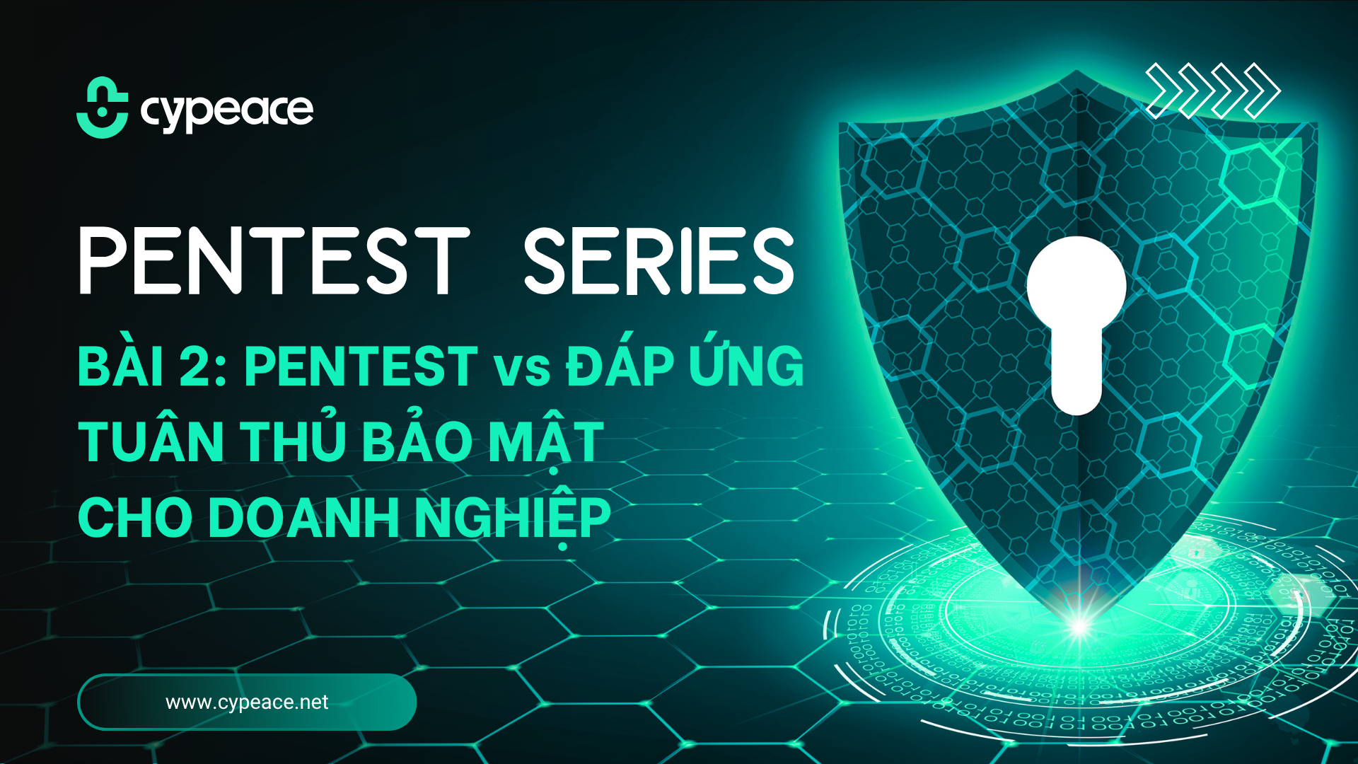 Pentest – Giải pháp tiêu chuẩn đáp ứng tuân thủ bảo mật cho Doanh nghiệp